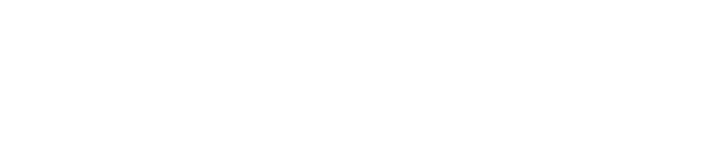 Havas Media