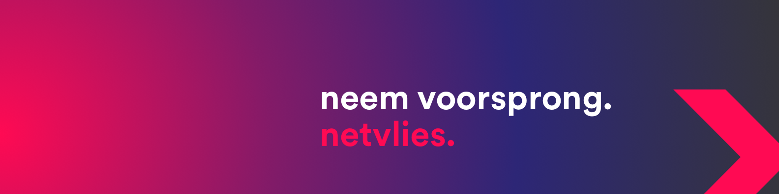 Netvlies logo