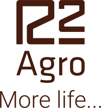 R2 Group Holding