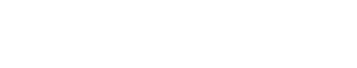 Twizzit