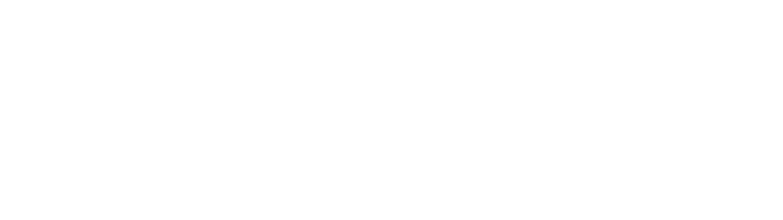 Werken bij BizzCon
